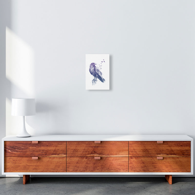 Born To Be Free Raven Animal Art Print by Balaz Solti A4 Canvas