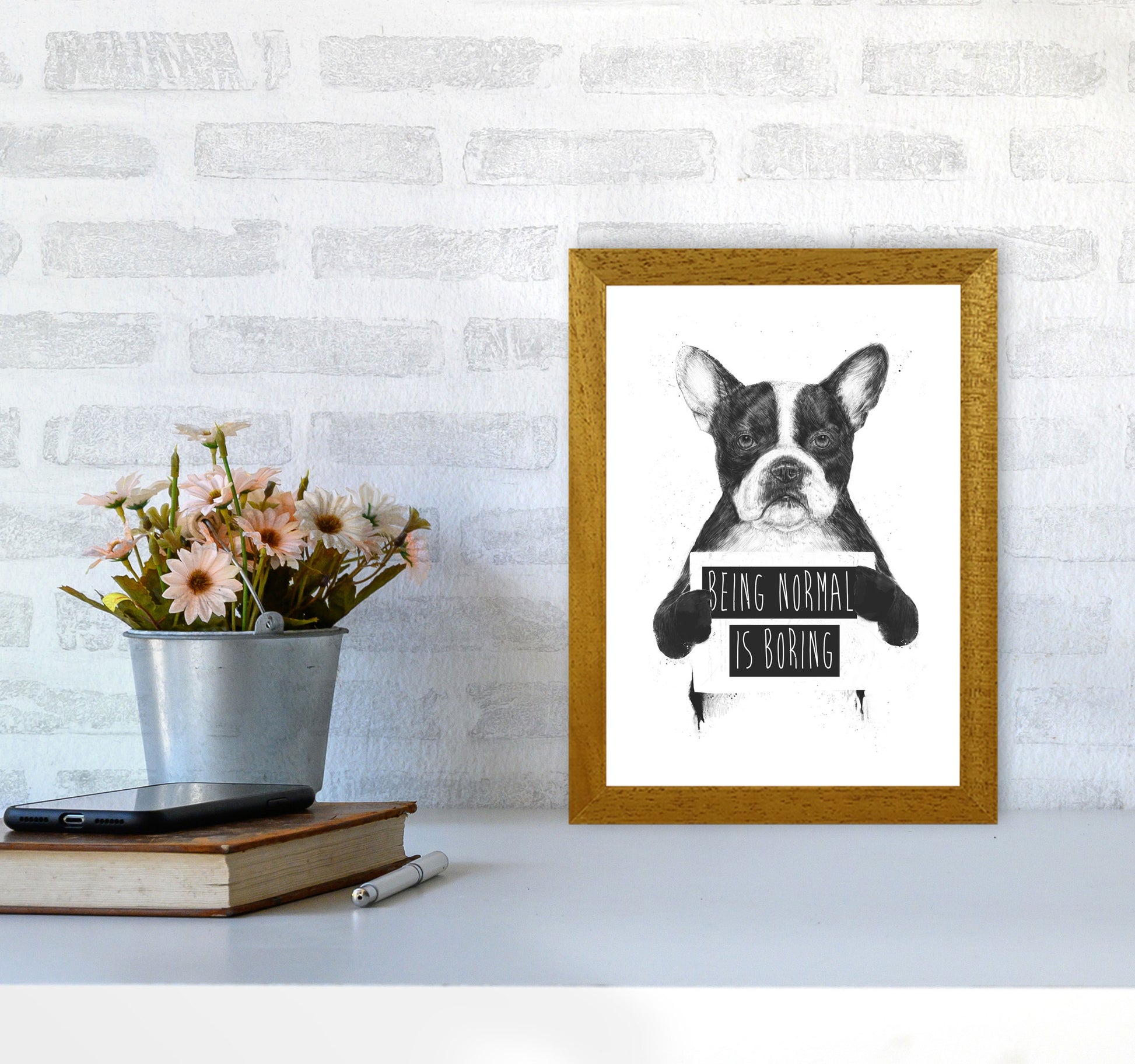 Being Normal Is Boring Animal Art Print by Balaz Solti A4 Print Only
