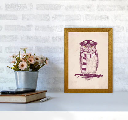 The Aviator Owl Animal Art Print by Balaz Solti A4 Print Only