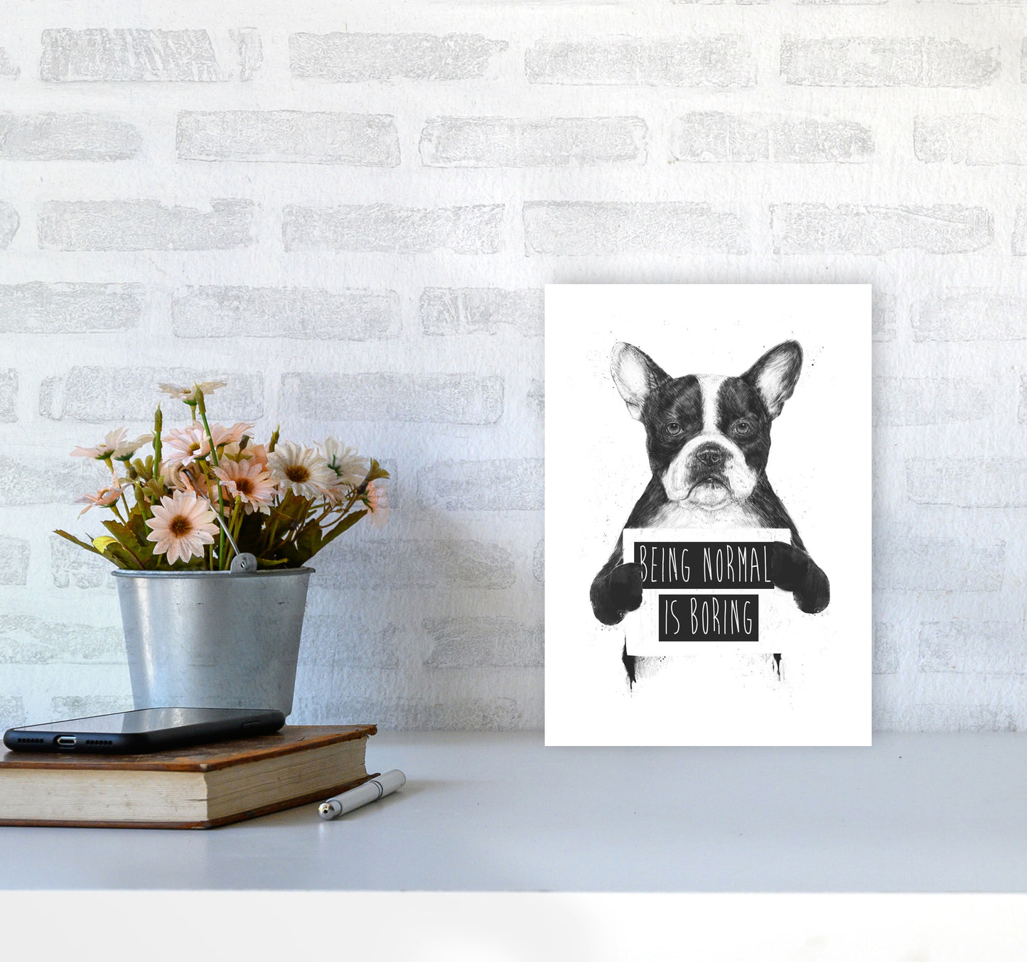 Being Normal Is Boring Animal Art Print by Balaz Solti A4 Black Frame