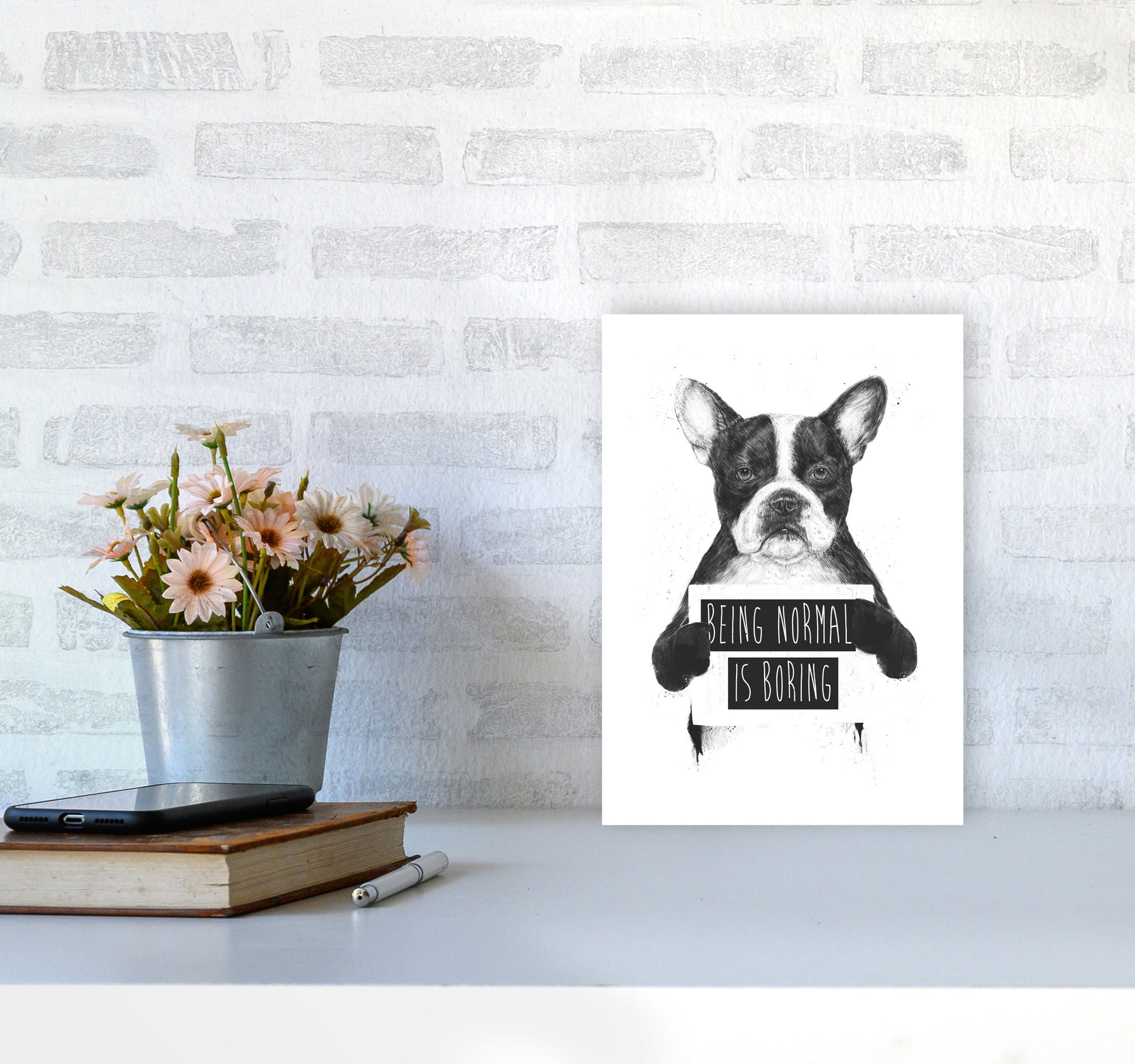 Being Normal Is Boring Animal Art Print by Balaz Solti A4 Black Frame