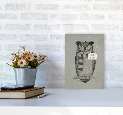 It's Winter B*tch Animal Art Print by Balaz Solti A4 Black Frame