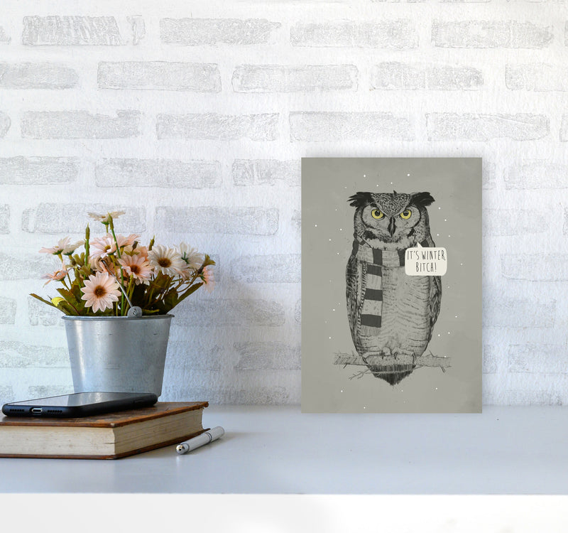 It's Winter B*tch Animal Art Print by Balaz Solti A4 Black Frame