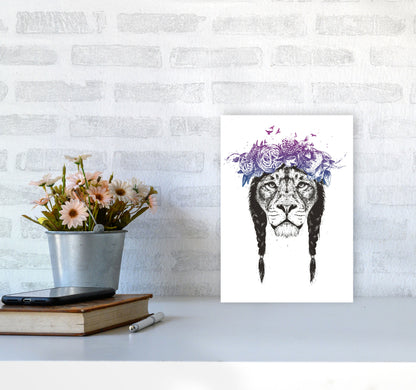 King Of Lions Animal Art Print by Balaz Solti A4 Black Frame