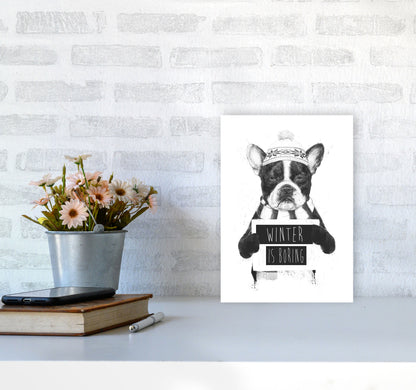 Winter Is Boring Animal Art Print by Balaz Solti A4 Black Frame