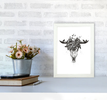 Dead Summer B&W Animal Art Print by Balaz Solti A4 Oak Frame