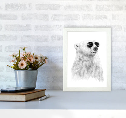 Don't Let The Sun Go Down Bear Animal Art Print by Balaz Solti A4 Oak Frame