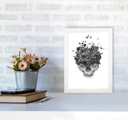My Head Is A Jungle Skull B&W Art Print by Balaz Solti A4 Oak Frame