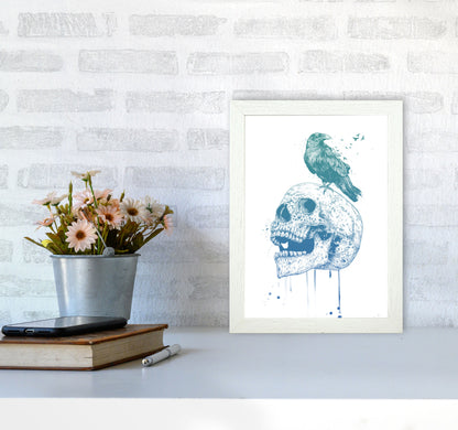 Skull & Raven Colour Animal Art Print by Balaz Solti A4 Oak Frame