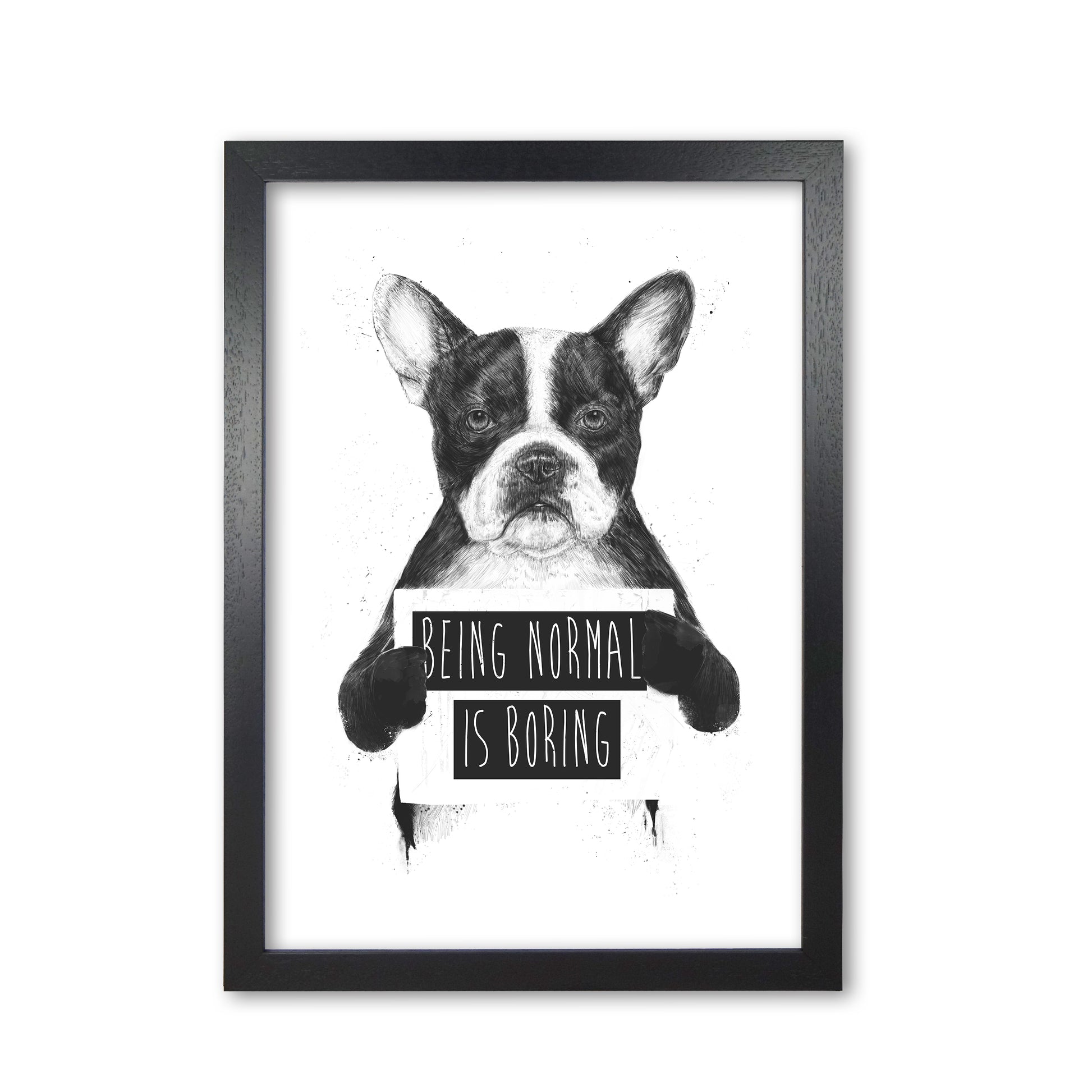 Being Normal Is Boring Animal Art Print by Balaz Solti Black Grain