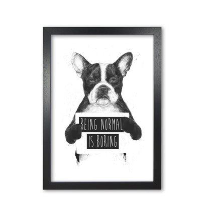 Being Normal Is Boring Animal Art Print by Balaz Solti Black Grain