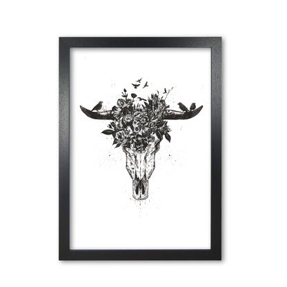 Dead Summer B&W Animal Art Print by Balaz Solti Black Grain