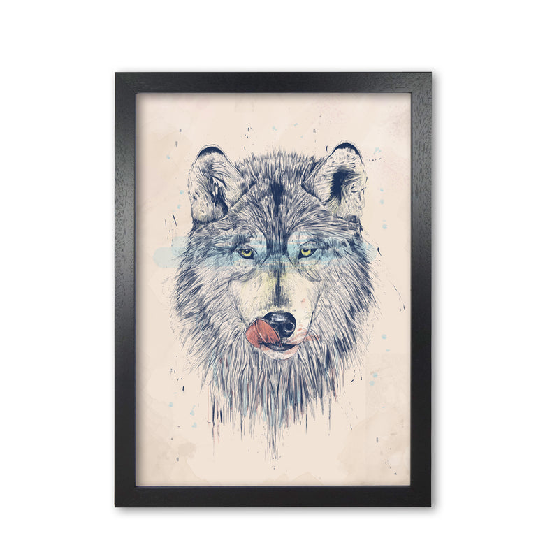 Dinner Time Wolf Animal Art Print by Balaz Solti Black Grain