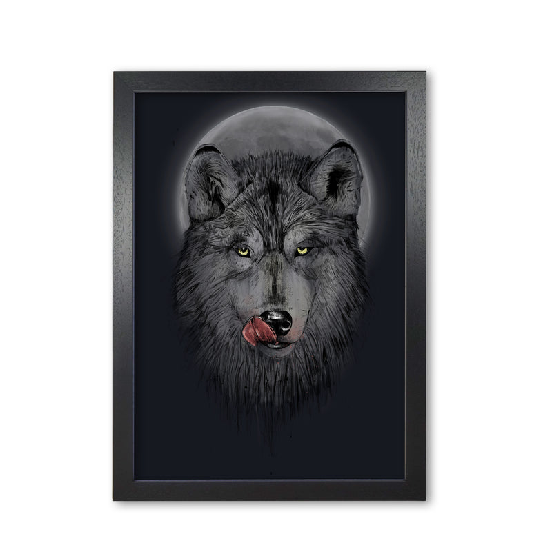 Dinner Time Wolf Night Animal Art Print by Balaz Solti Black Grain