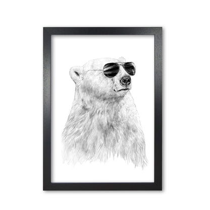 Don't Let The Sun Go Down Bear Animal Art Print by Balaz Solti Black Grain