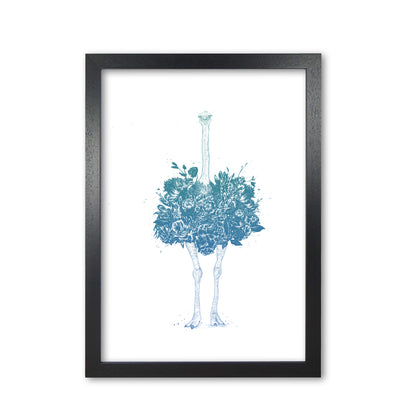 Floral Ostrich Teal Animal Art Print by Balaz Solti Black Grain