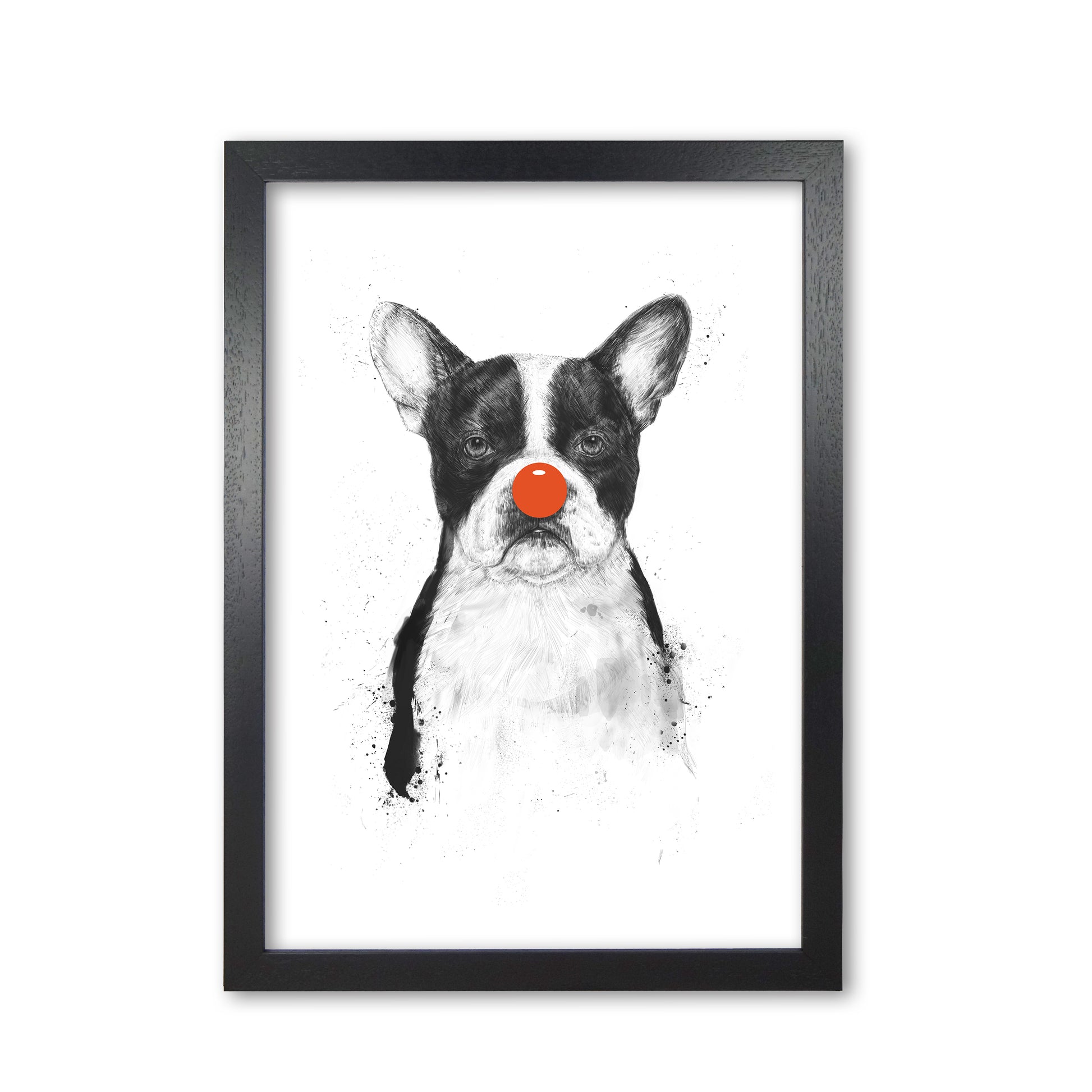 I'm Not Your Clown Bulldog Animal Art Print by Balaz Solti Black Grain