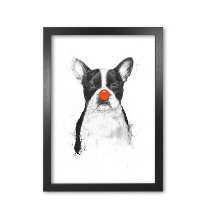 I'm Not Your Clown Bulldog Animal Art Print by Balaz Solti Black Grain