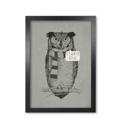 It's Winter B*tch Animal Art Print by Balaz Solti Black Grain