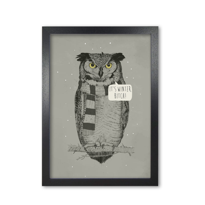 It's Winter B*tch Animal Art Print by Balaz Solti Black Grain