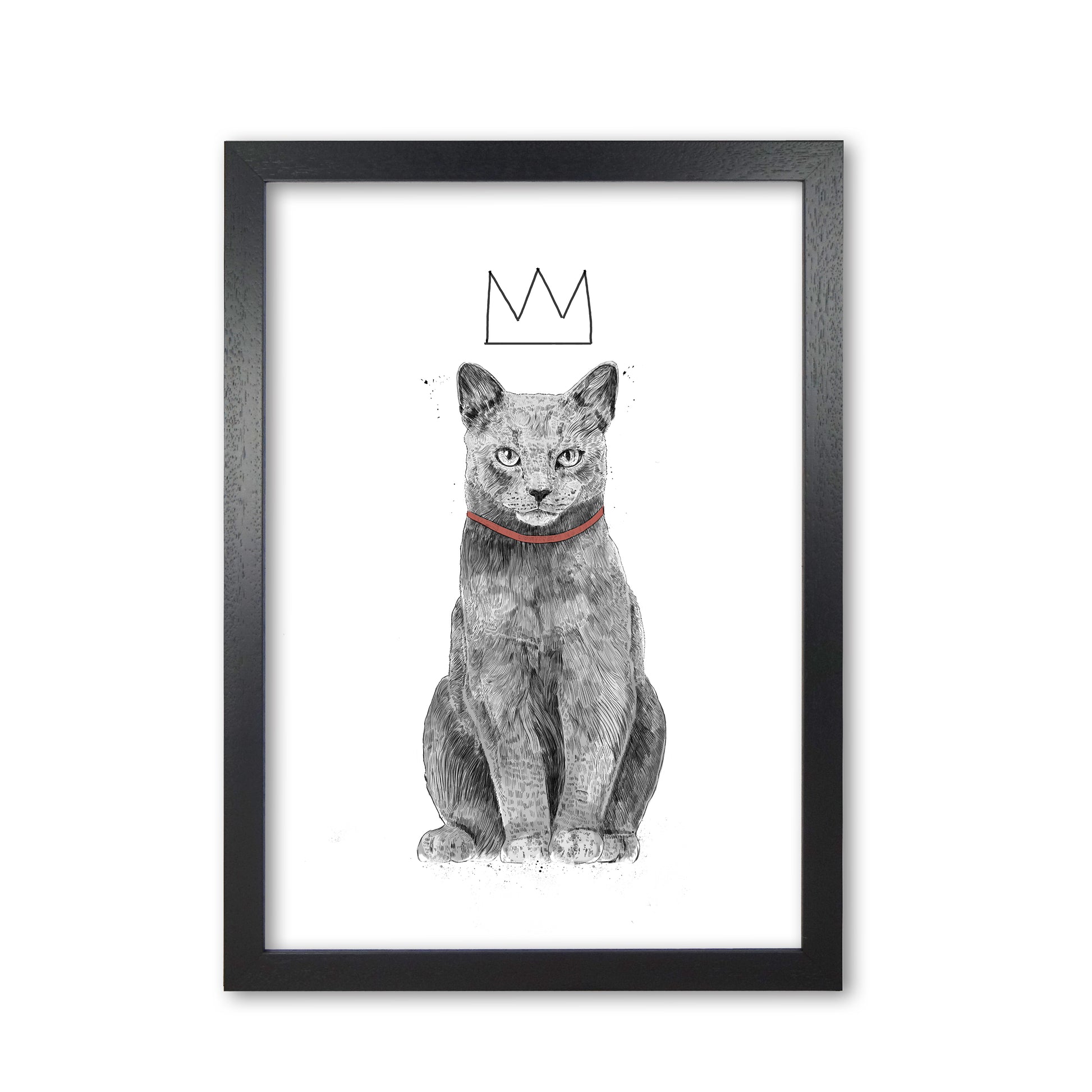 King Of Everything Animal Art Print by Balaz Solti Black Grain