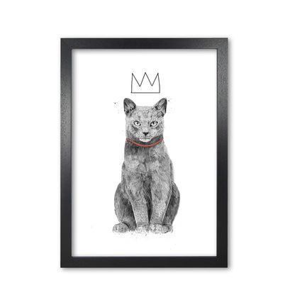 King Of Everything Animal Art Print by Balaz Solti Black Grain