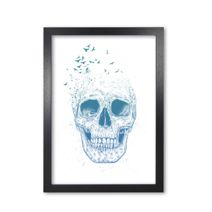 Let Them Fly Skull Gothic Art Print by Balaz Solti Black Grain
