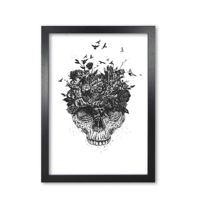 My Head Is A Jungle Skull B&W Art Print by Balaz Solti Black Grain