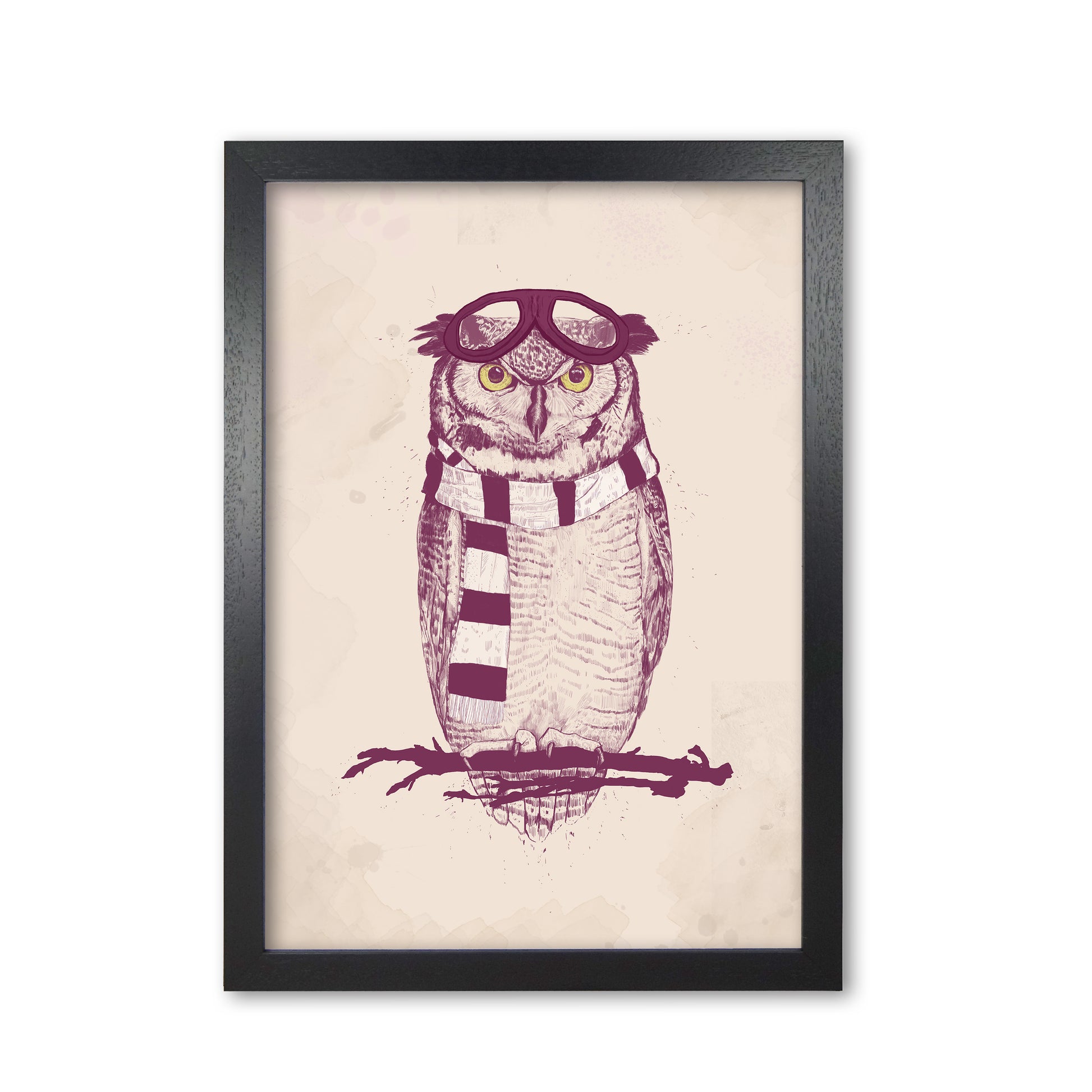 The Aviator Owl Animal Art Print by Balaz Solti Black Grain