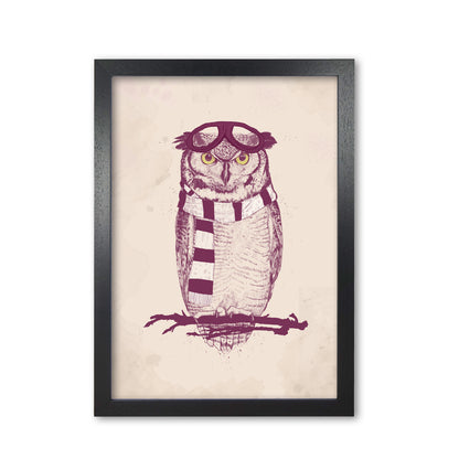 The Aviator Owl Animal Art Print by Balaz Solti Black Grain