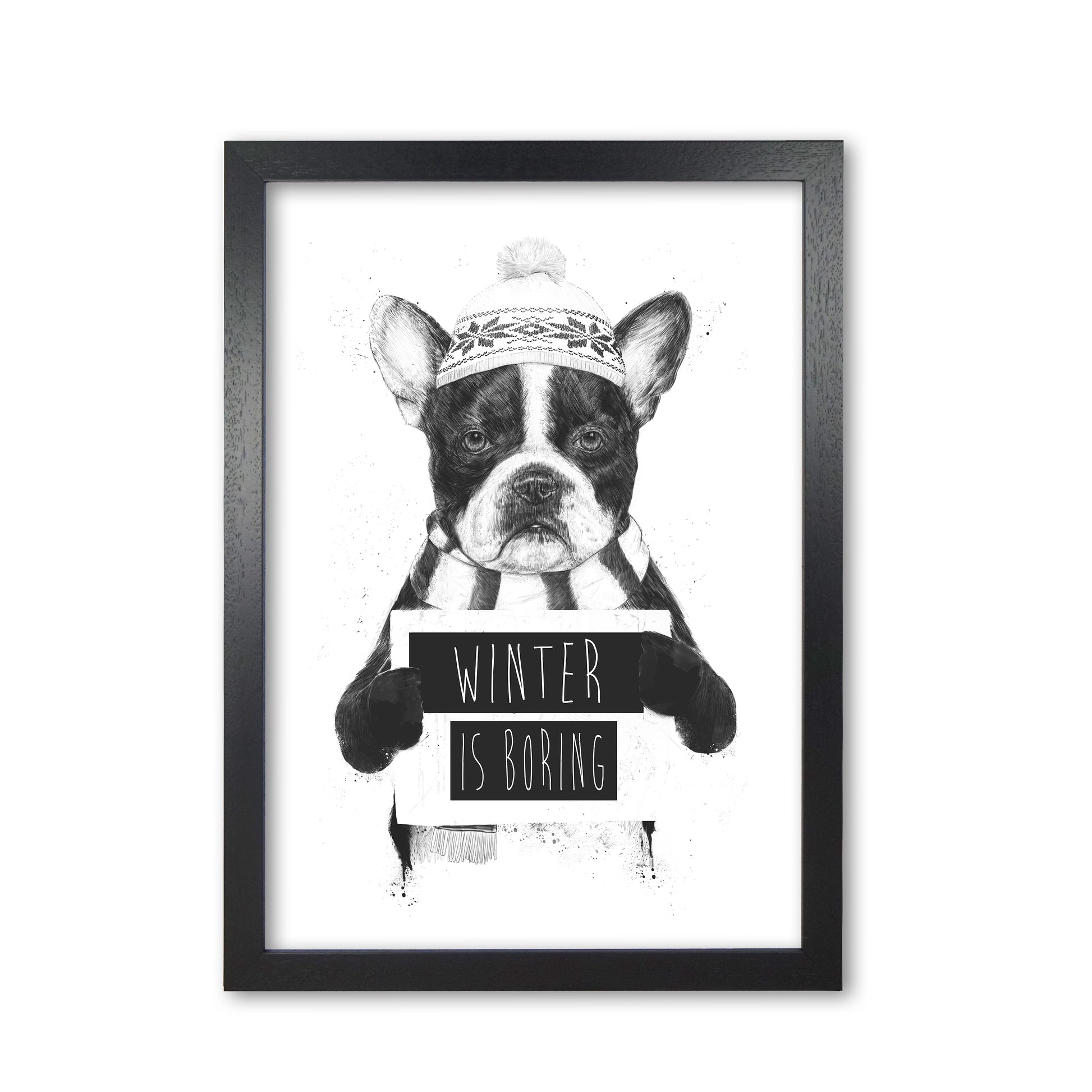Winter Is Boring Animal Art Print by Balaz Solti Black Grain