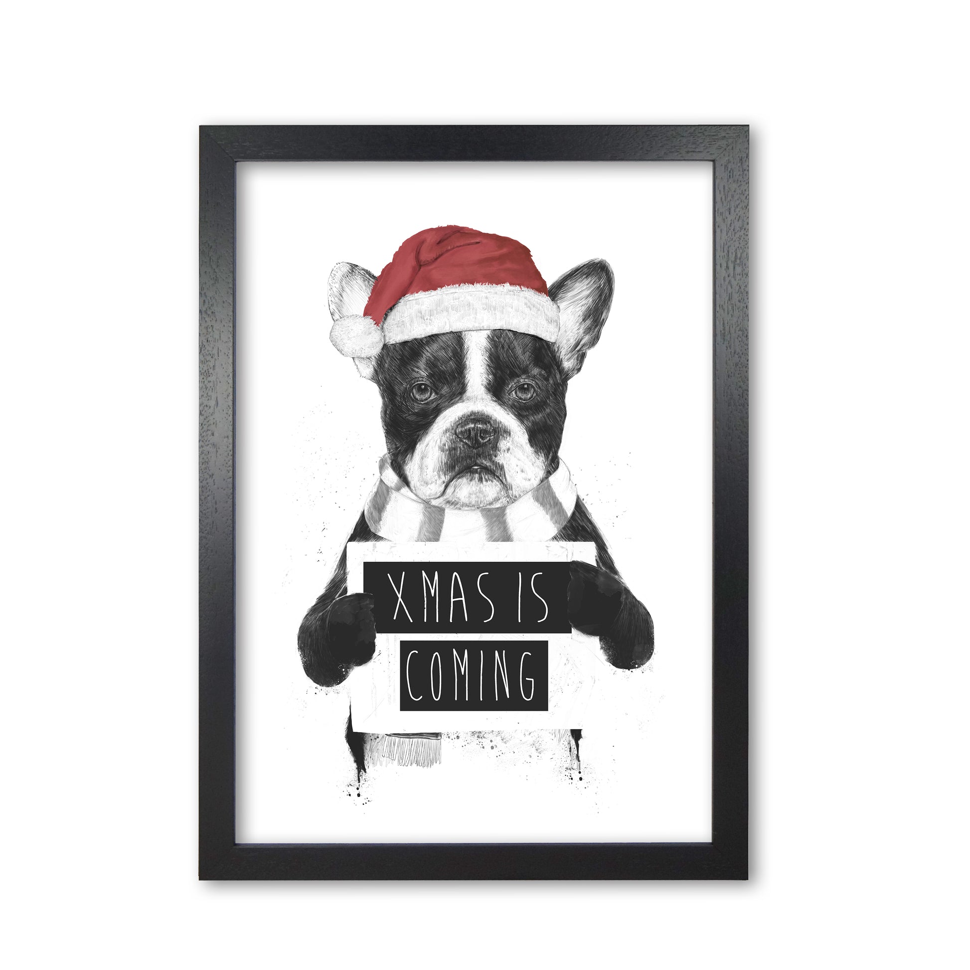 Xmas Is Coming Animal Art Print by Balaz Solti Black Grain