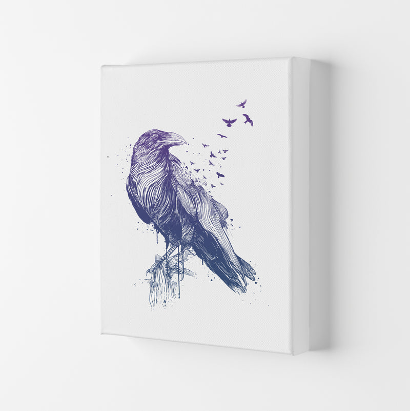 Born To Be Free Raven Animal Art Print by Balaz Solti Canvas