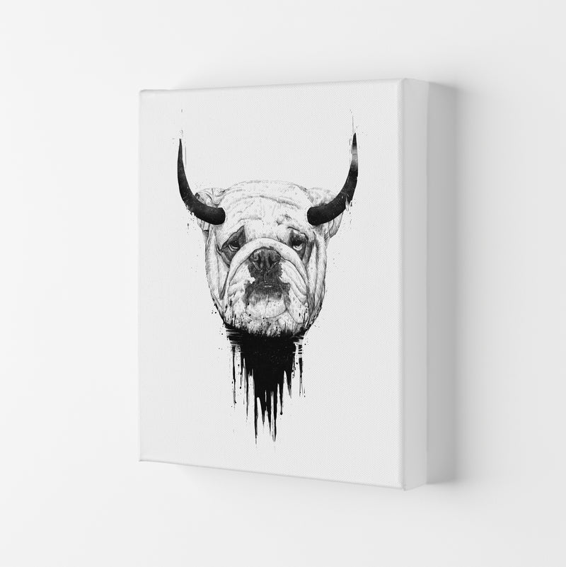 Bulldog Horns Animal Art Print by Balaz Solti Canvas