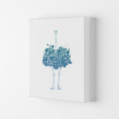 Floral Ostrich Teal Animal Art Print by Balaz Solti Canvas