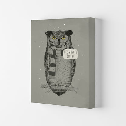 It's Winter B*tch Animal Art Print by Balaz Solti Canvas