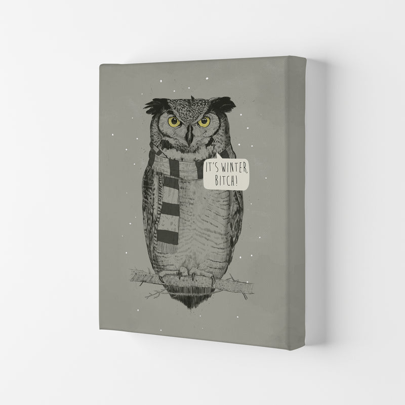 It's Winter B*tch Animal Art Print by Balaz Solti Canvas