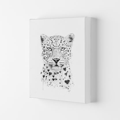 Lovely Leopard Animal Art Print by Balaz Solti Canvas