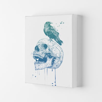 Skull & Raven Colour Animal Art Print by Balaz Solti Canvas