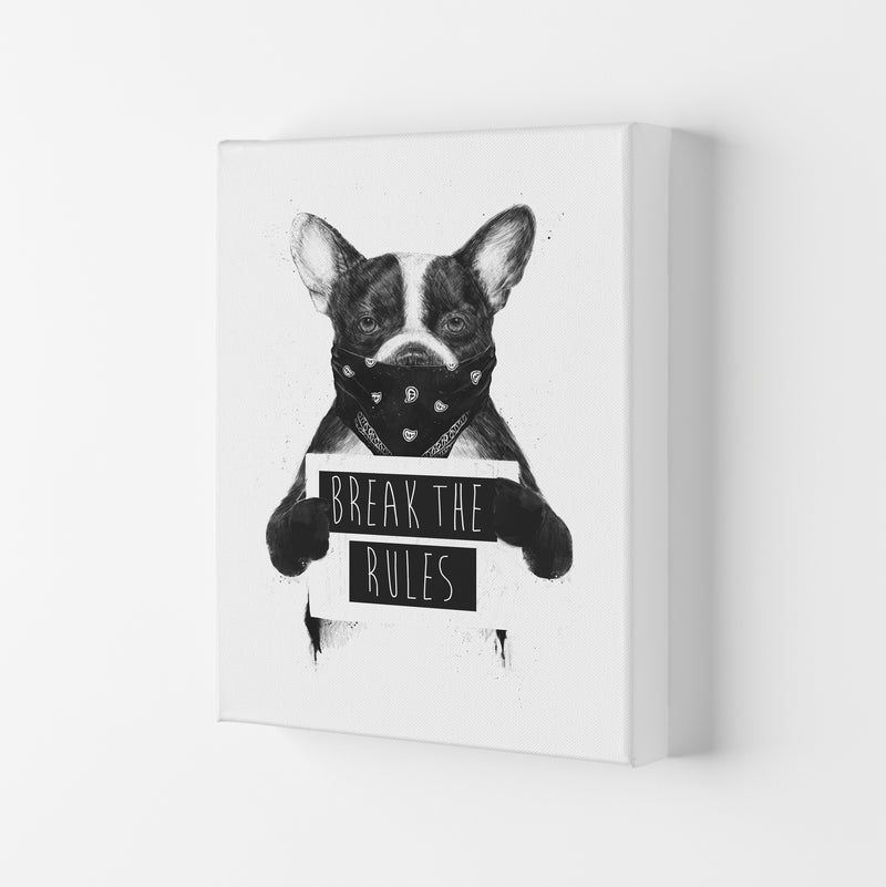 Rebel Bulldog Animal Art Print by Balaz Solti Canvas