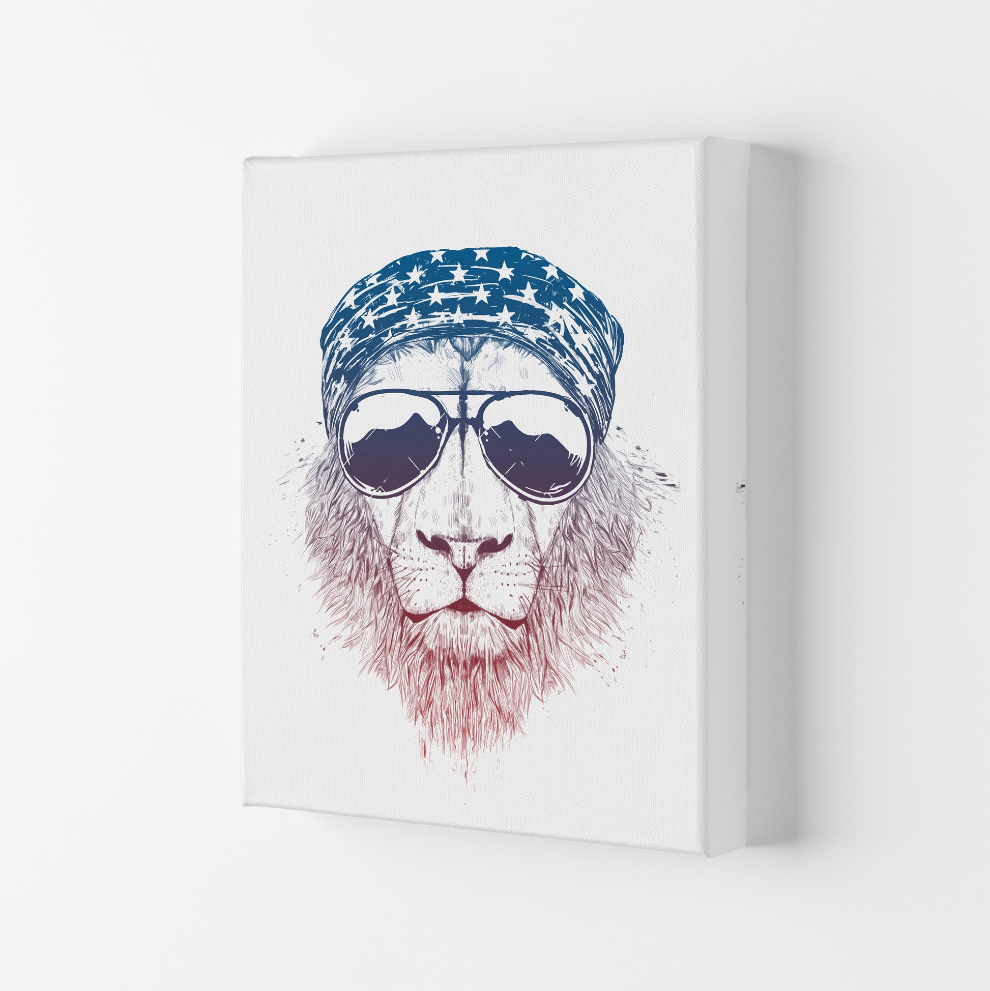 Wild Lion Colour Animal Art Print by Balaz Solti Canvas