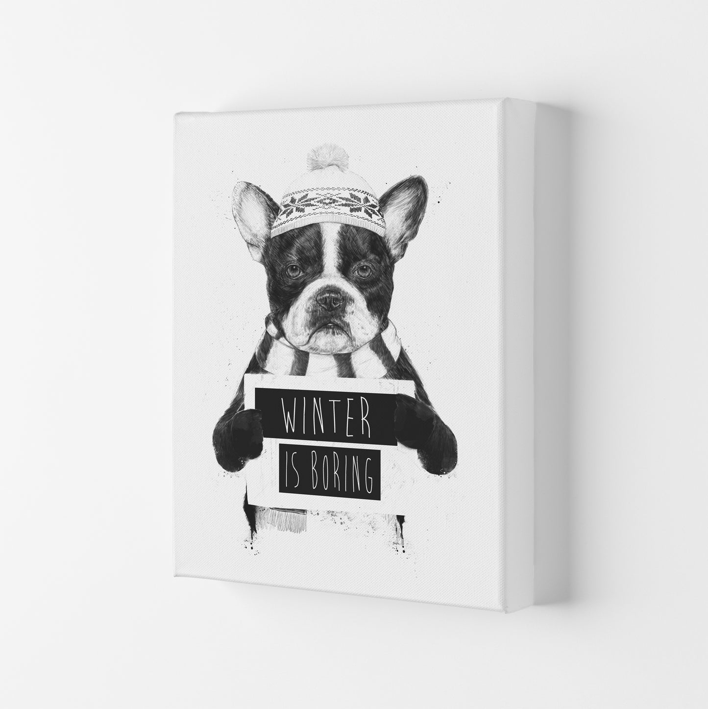 Winter Is Boring Animal Art Print by Balaz Solti Canvas