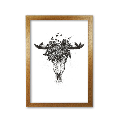 Dead Summer B&W Animal Art Print by Balaz Solti Oak Grain