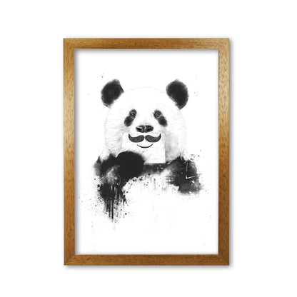 Funny Panda Animal Art Print by Balaz Solti Oak Grain