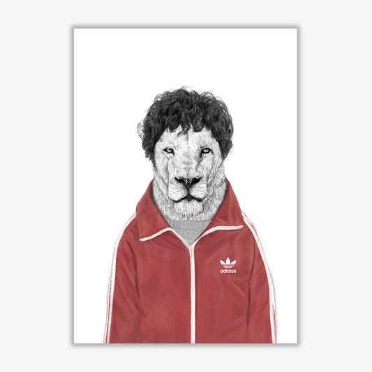 Chas Lion Animal Art Print by Balaz Solti Print Only