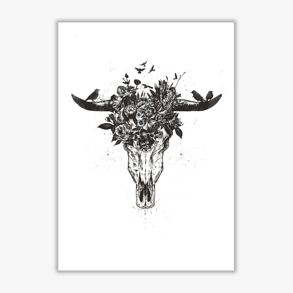 Dead Summer B&W Animal Art Print by Balaz Solti Print Only