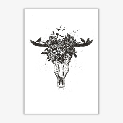 Dead Summer B&W Animal Art Print by Balaz Solti Print Only