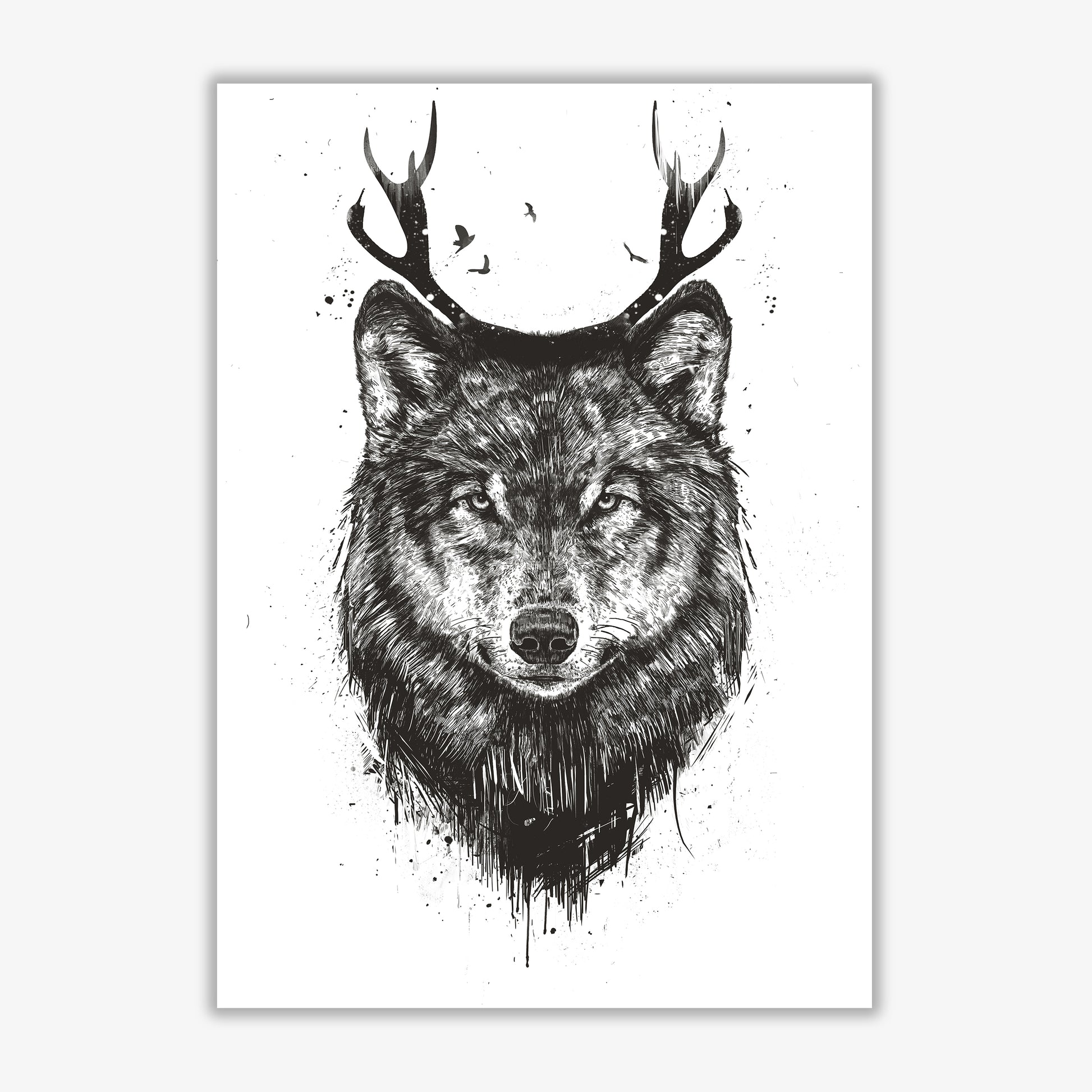 Deer Wolf B&W Animal Art Print by Balaz Solti Print Only