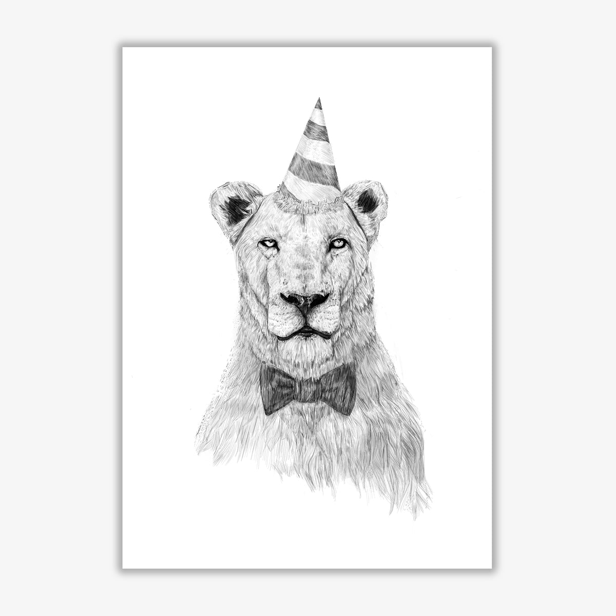 Get The Party Started Lion Animal Art Print by Balaz Solti Print Only