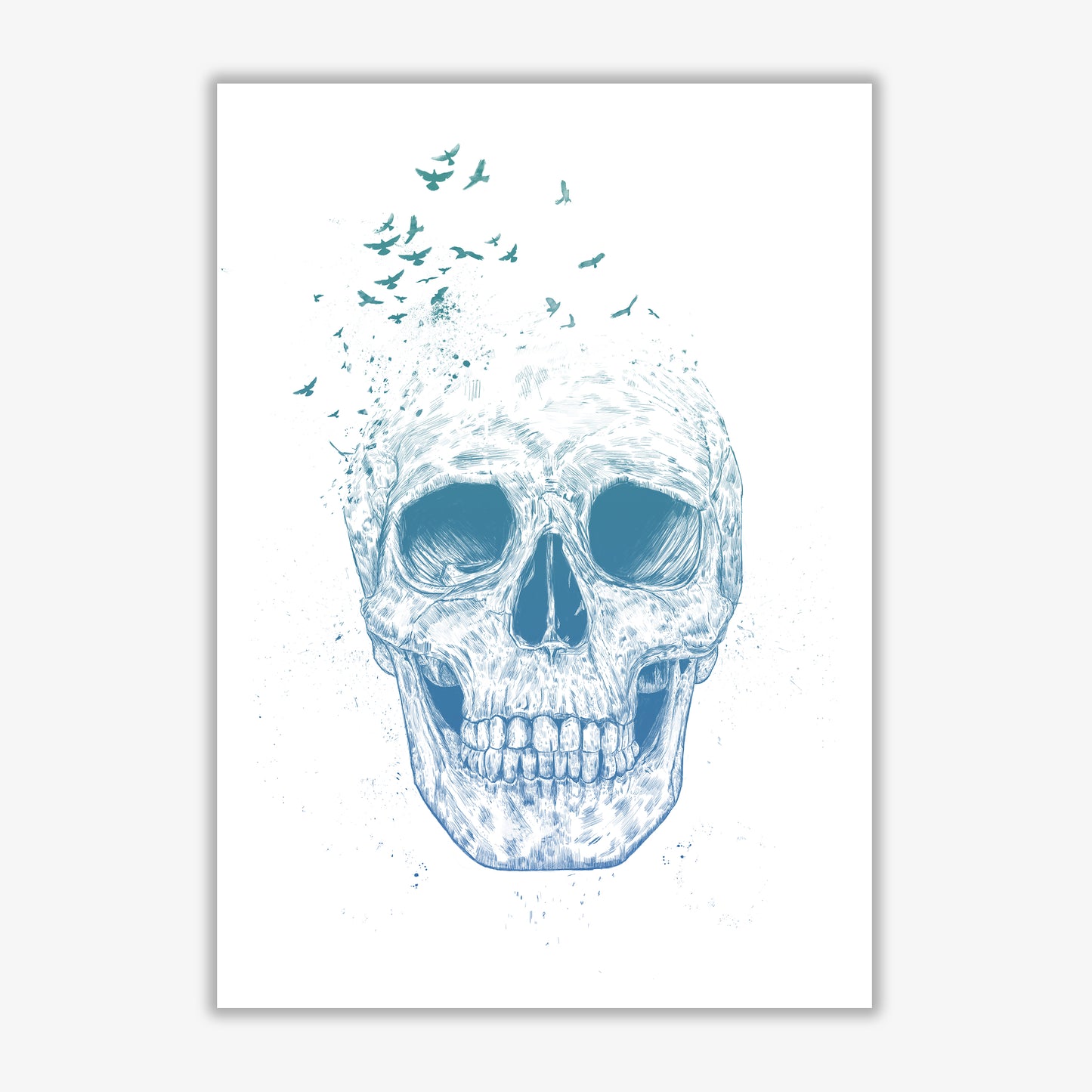 Let Them Fly Skull Gothic Art Print by Balaz Solti Print Only